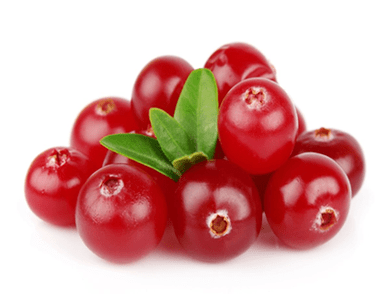 Cranberry in Uromexil Forte